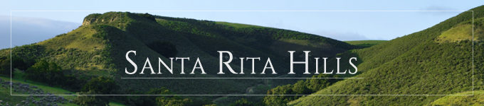 The green Santa Rita Hills in Santa Barbara Wine Country